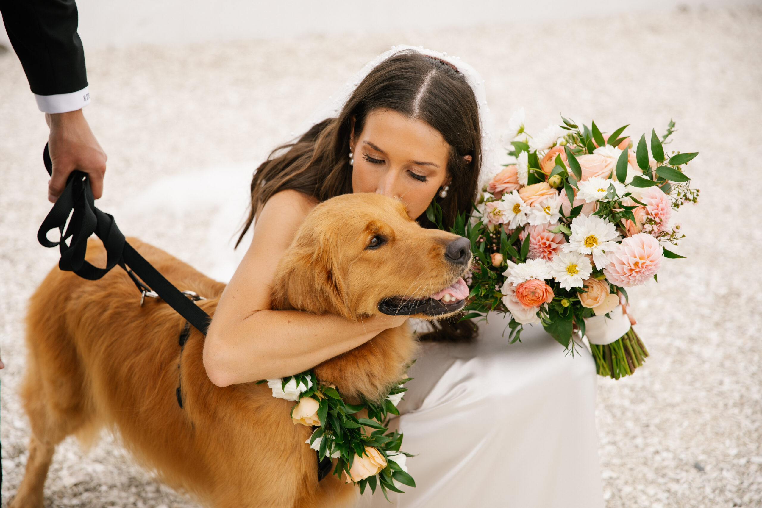 bride hugging a dog