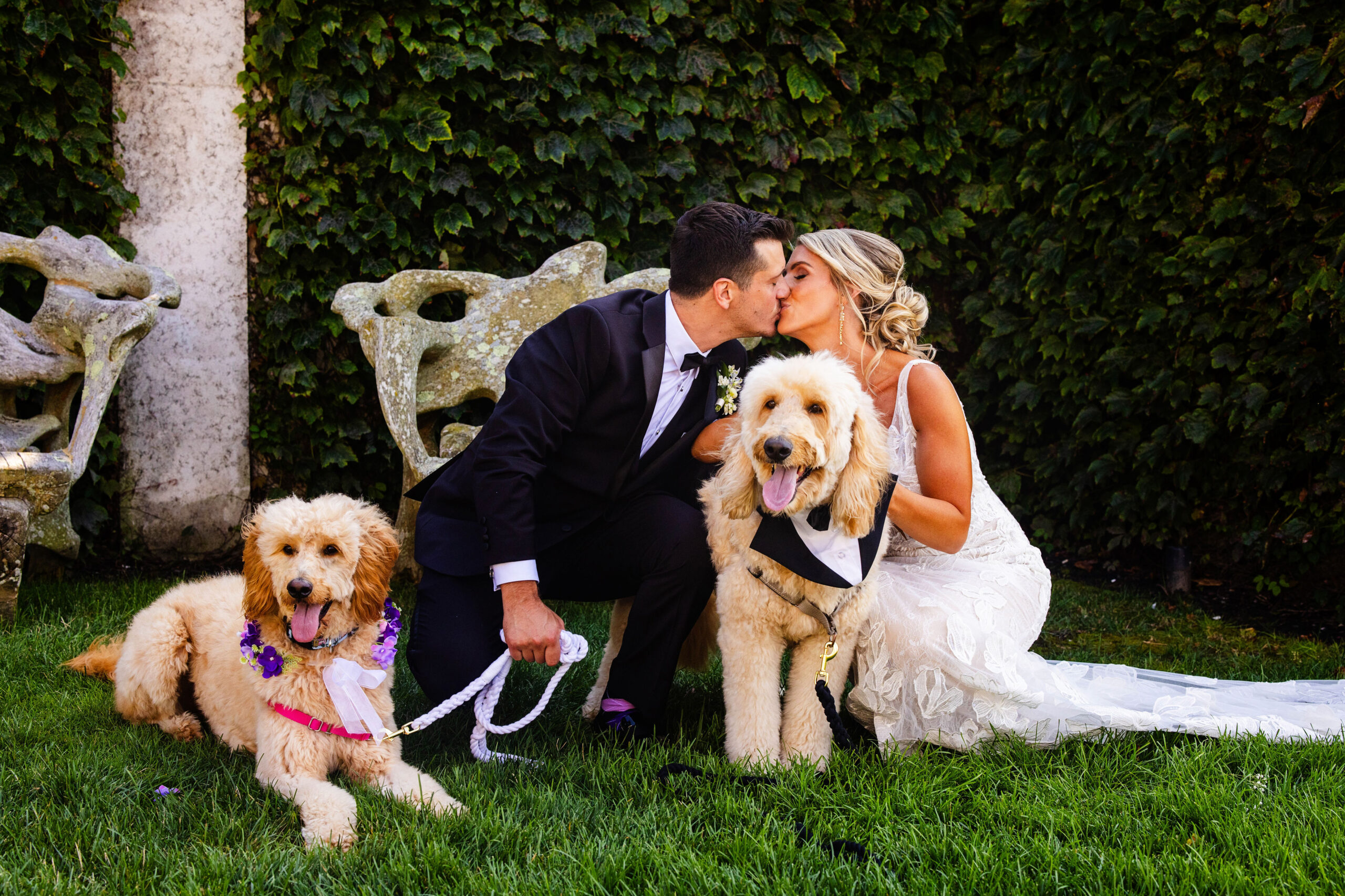 bride and groom with dogs